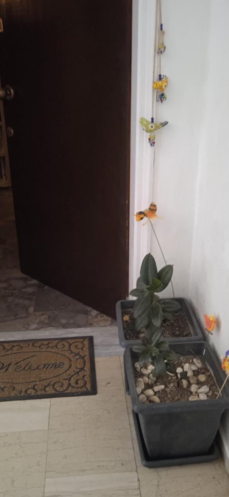 Apartmán Campelina Home, 2bd Near Corfu Town Corfu (city)